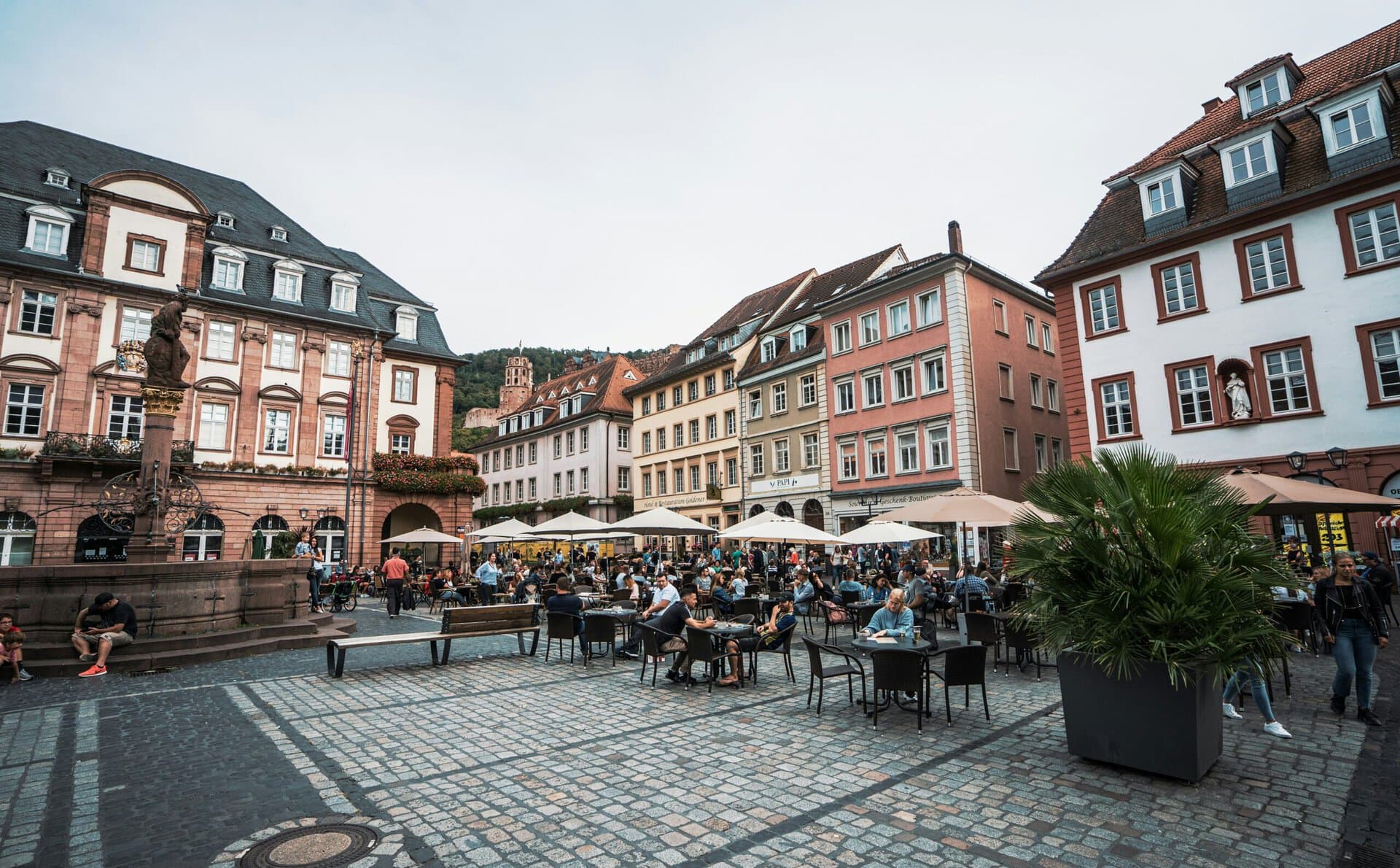 Private tour guide showing Heidelberg landmarks to tourists